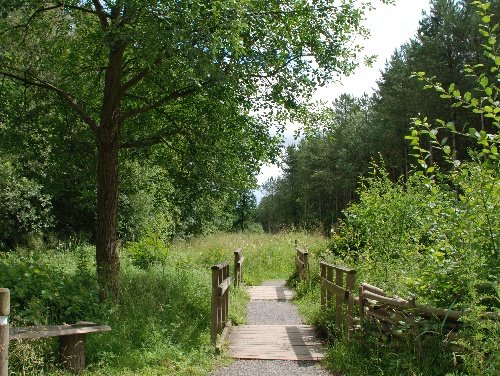 Chambers Farm Wood