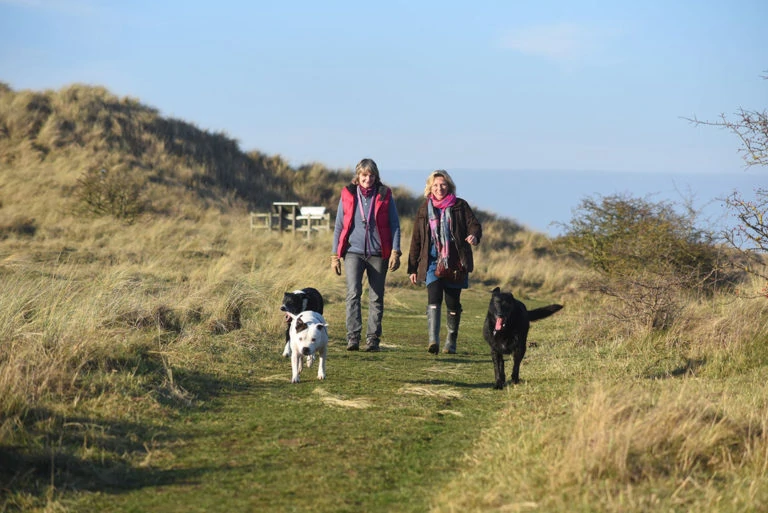 two ladies with dogs walking along a coastal path