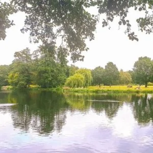 lake at Boultham Park