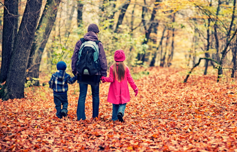 Adult holding hands with two children walking through woodland with autumn leaves