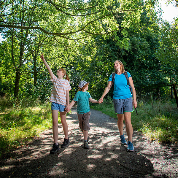 Lady walking with a boy and a girl through a wooded area.